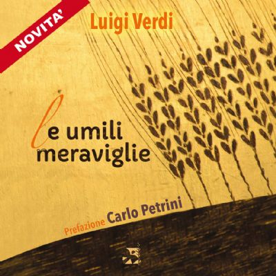 Le umili meraviglie